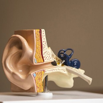 Kulak Çınlaması Tedavisi